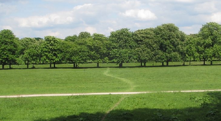 Kastanienallee Deckstein 1200x400