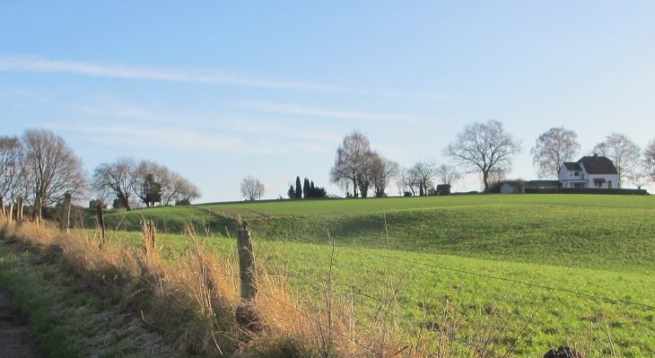 Weg durch Obstbaumwiesen 1200x400