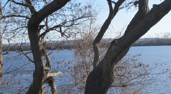 Lucherberger See 1200x400