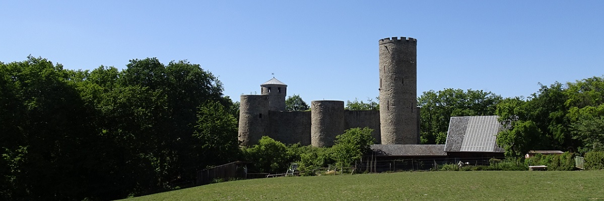 Burgpanorama mit Wiese und Wald