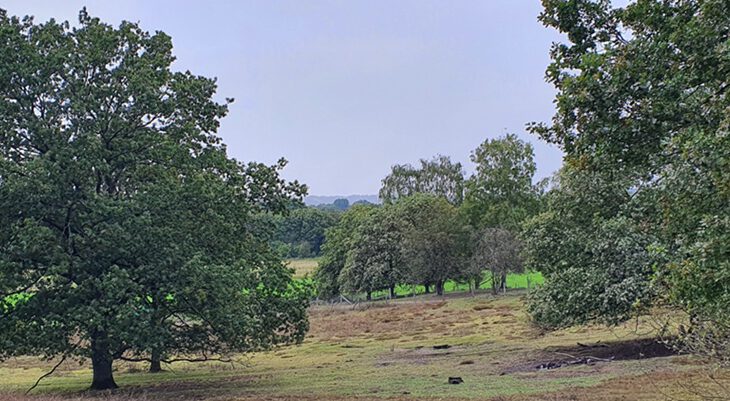Blick vom Sandberg
