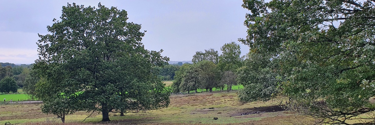 Blick vom Sandberg