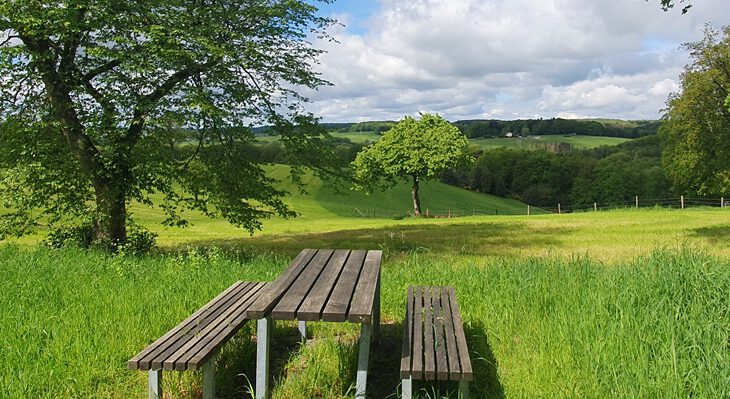 Rastplatz mit Weitblick