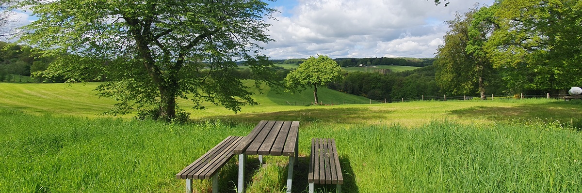 Rastplatz mit Weitblick