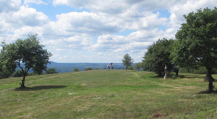 Wiesenfläche auf Berggipfel
