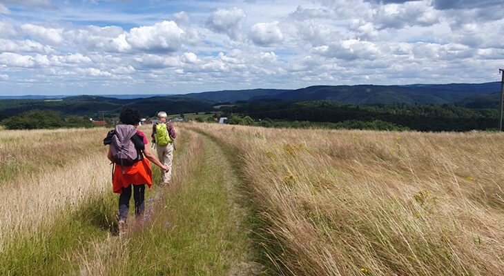 Wanderer auf Wiesenweg mit Aussicht