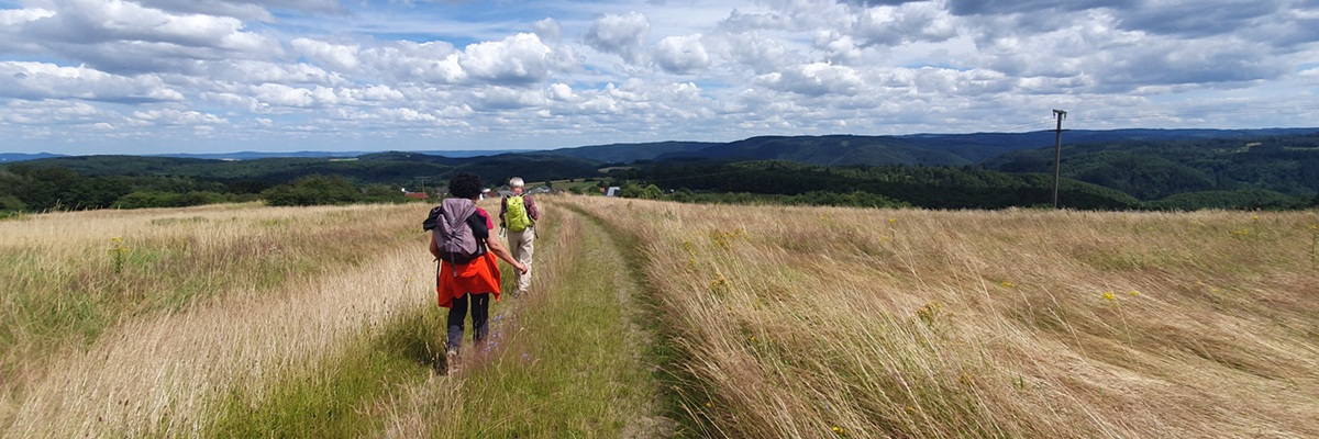 Wanderer auf Wiesenweg mit Aussicht